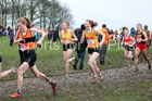 Senior girls 2019 New Balance English Schools Cross Country Champs, Temple Newsam, Leeds. Photo:  David T. Hewitson/Sports for All Pics